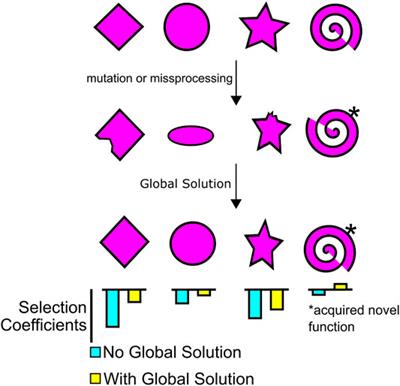 Non-Darwinian Molecular Biology